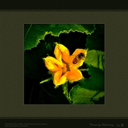 dailyPhoto9